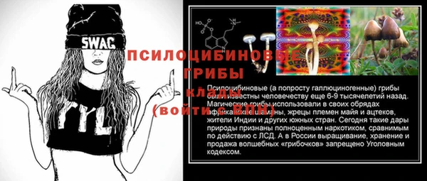 бутират Алзамай