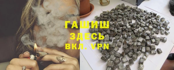 прущие грибы Новозыбков