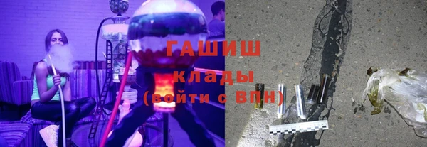прущие грибы Абаза
