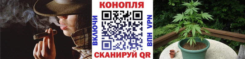 купить наркотик mega ССЫЛКА Бошки Шишки OG Kush Удомля